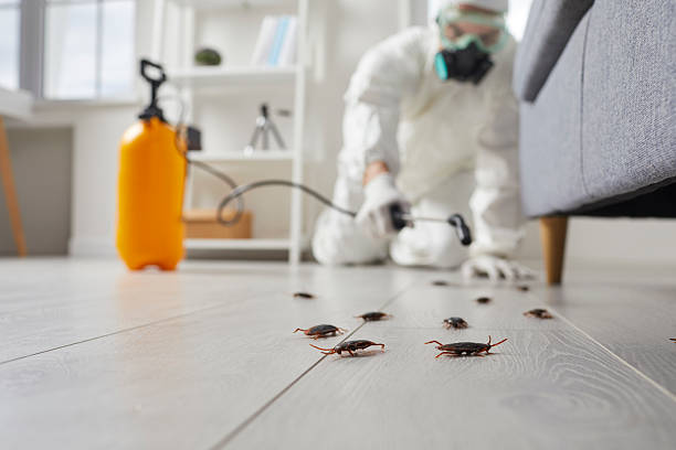Trusted Fumigation Services service in North Braddock, PA - Nex Pest Control