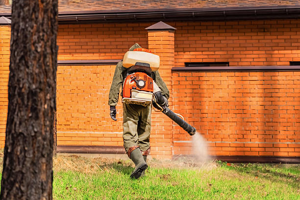 Trusted Bed Bug Control service in North Braddock, PA - Nex Pest Control